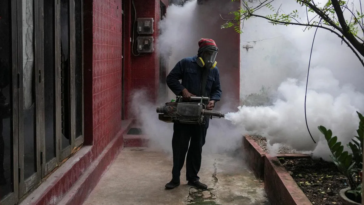 Sri Lanka Dengue Crisis: 80,000 Cases, 59 Deaths